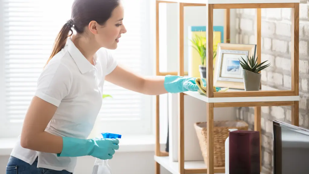 Woman performing a deep clean on a shelf.