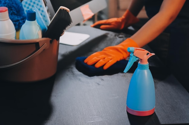 house cleaning companies - ilustra├º├úo 3