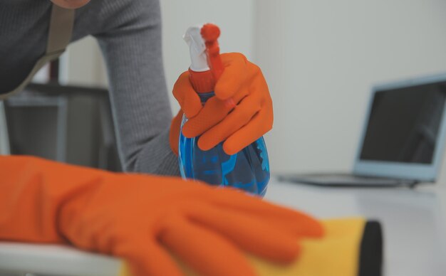 house cleaning companies - ilustra├º├úo 4